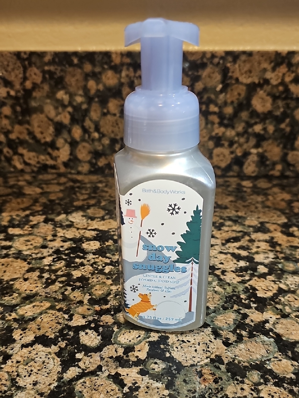 BBW Snow Day Snuggles Gentle & Clean  Foaming Hand Soap